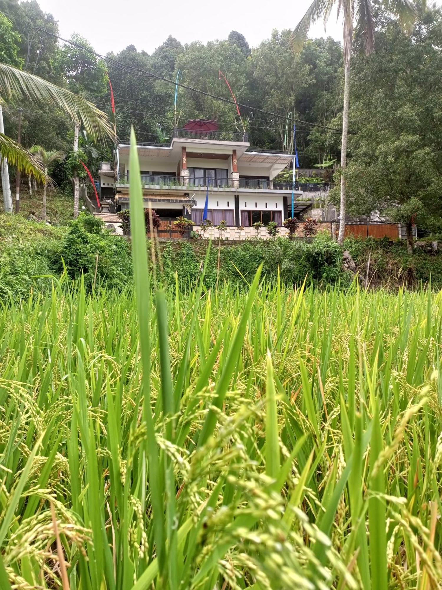 Bali Praya House Hotel Munduk  Exterior photo