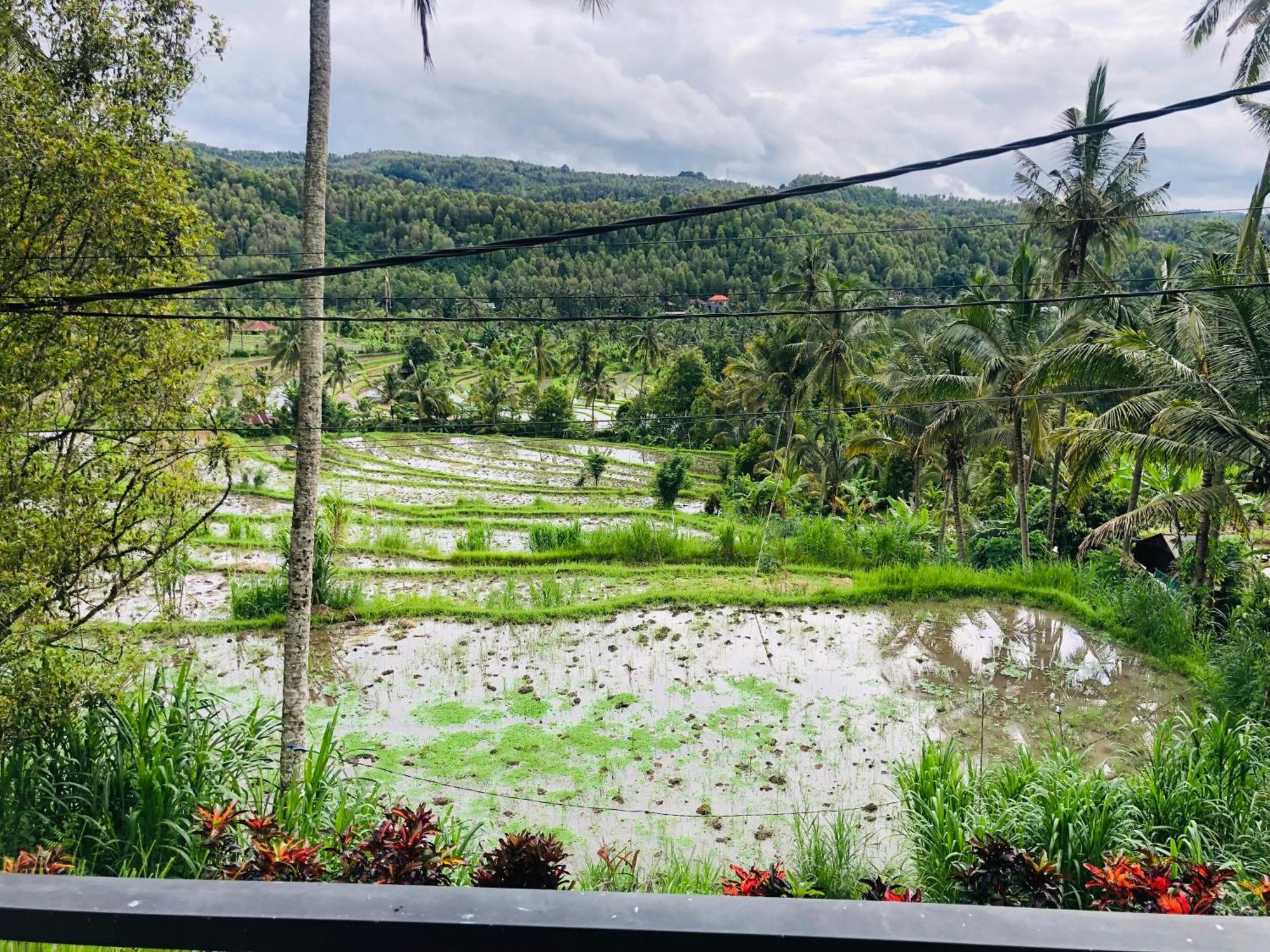 Bali Praya House Hotel Munduk  Exterior photo